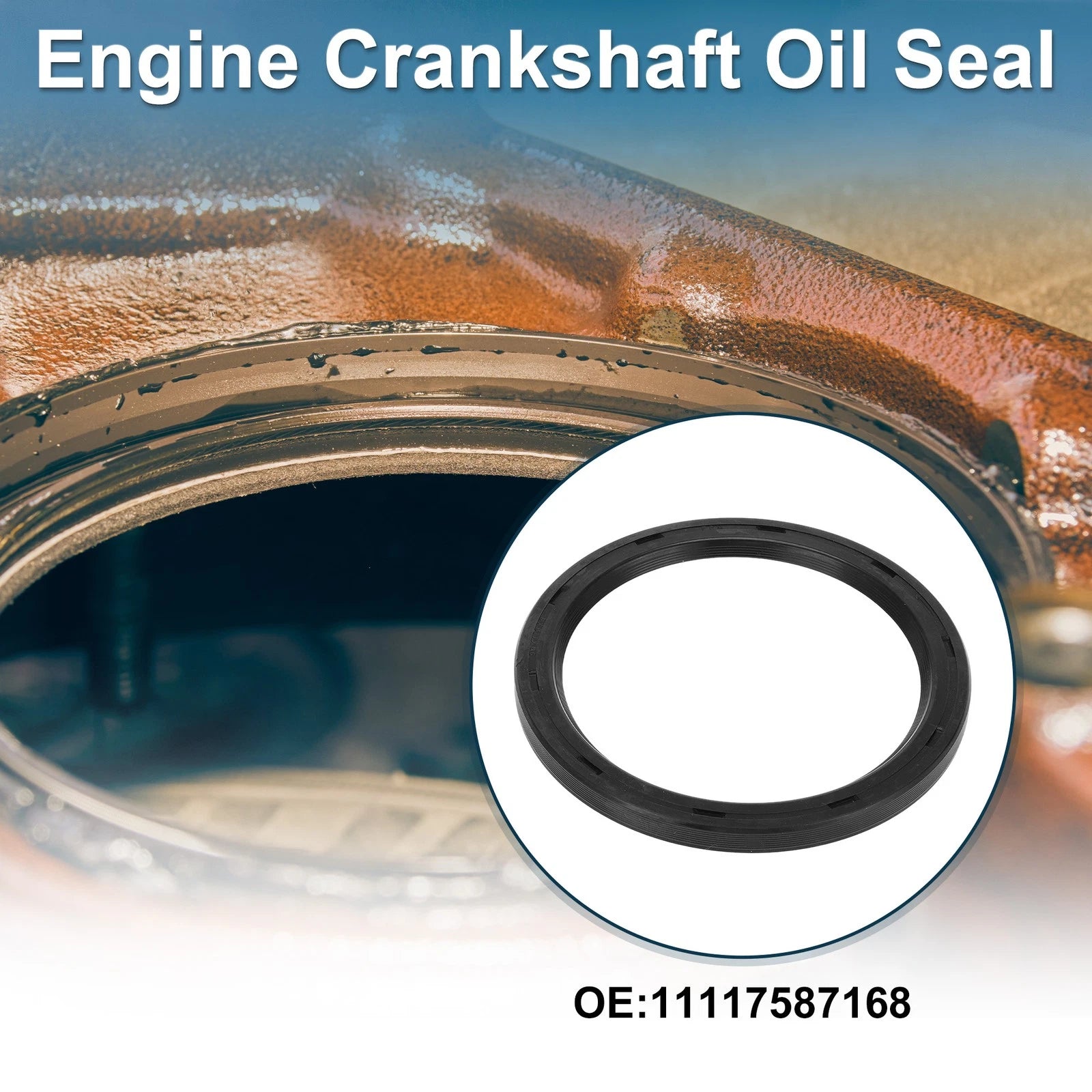 Rear Crankshaft Oil Seal Replacement for BMW X6 (2008–2014)