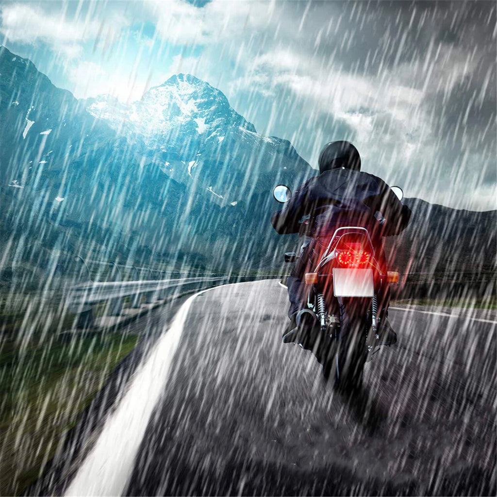 LED Tail Light for Motorcycle (12V)