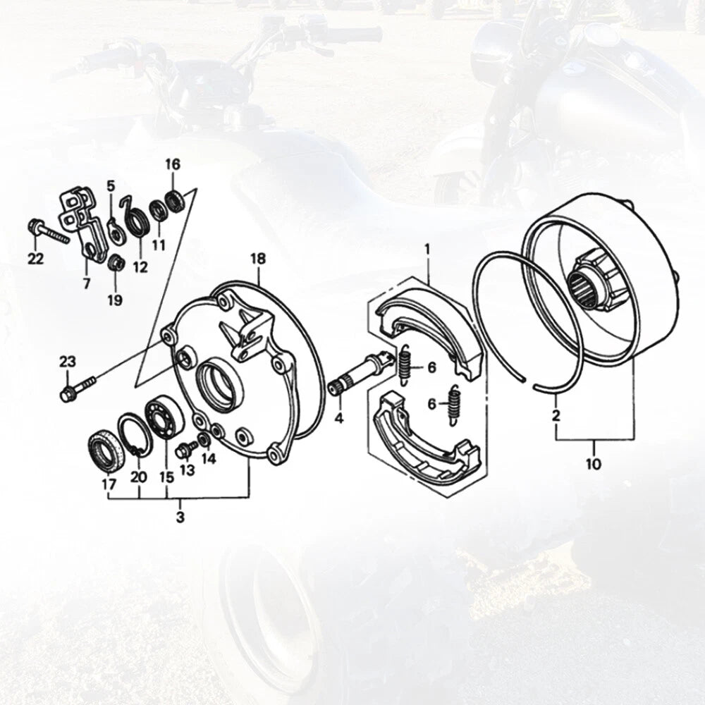Rear Brake Drum Hub Plate Cover & Seals for Honda TRX250 (2001–2023)