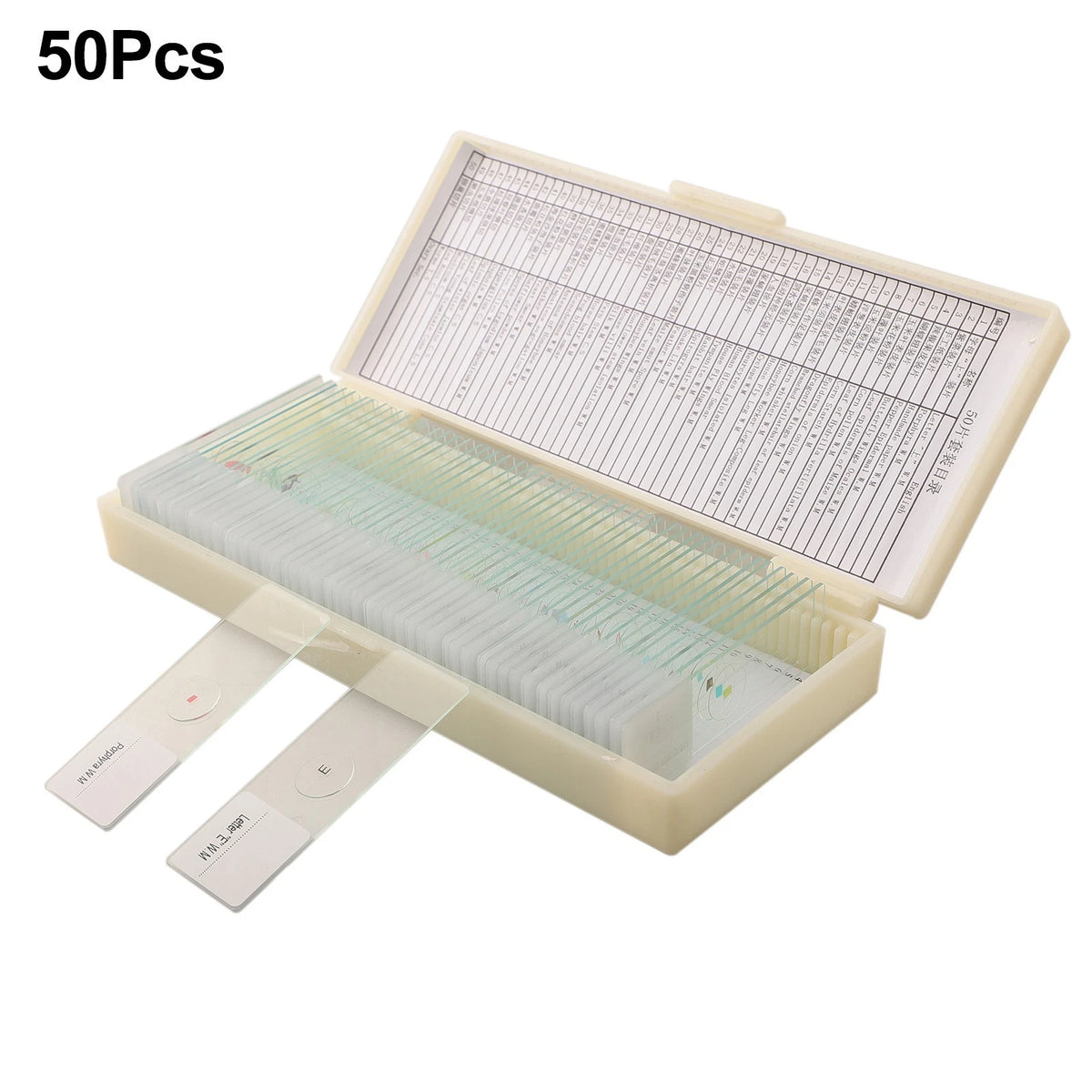 Microscope Slide Set for Kids - Various Specimens