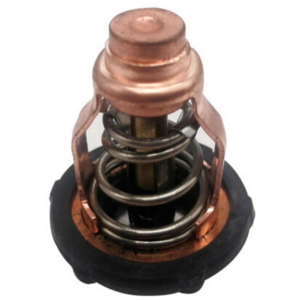 Thermostat for Yamaha F90B VF90 (6FP-12411-00-00)