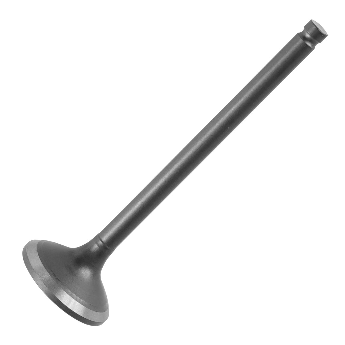 Exhaust Valve Replacement for Honda CRF230F CRF230L CRF230M (2003–2019)