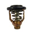 Thermostat 60°C 140°F for Yamaha F175A F175C LF175C VF175 (6DA-12411-01 18-3636)