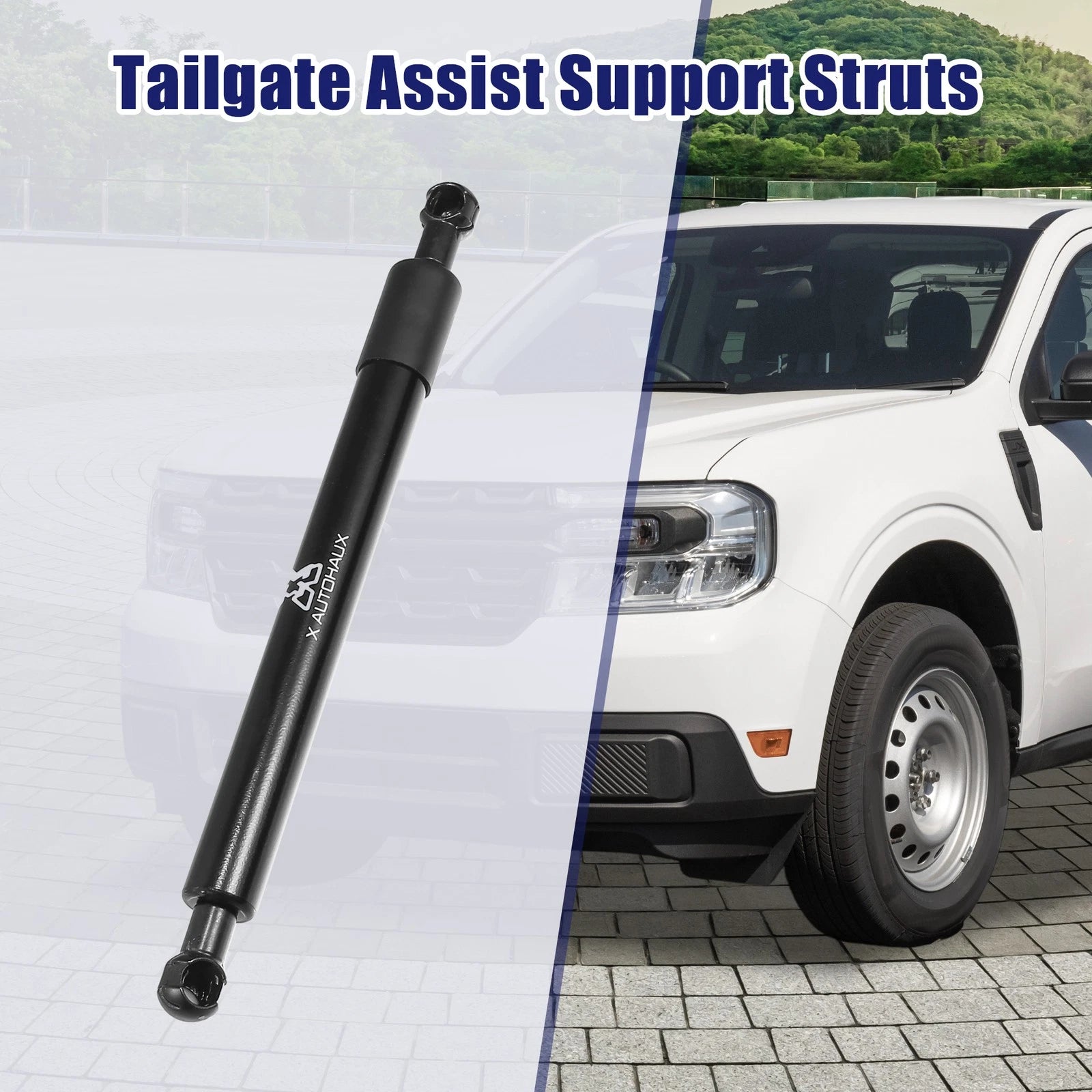 Rear Tailgate Assist Shock Lift Support Struts Set for Dodge Ram 1500 (2013–2019)