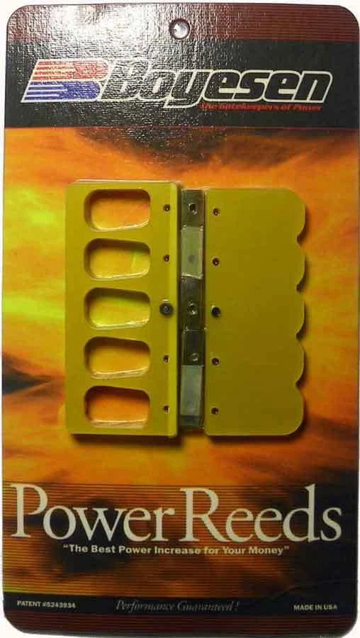 Boyesen Reeds for Yamaha 150-225 HP HPDI (2000–2006) - 365DI