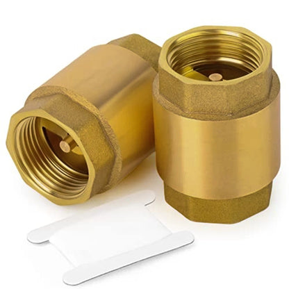 Vertical Check Valve DN20 for Water Pipes (4 Inch NPT Thread)