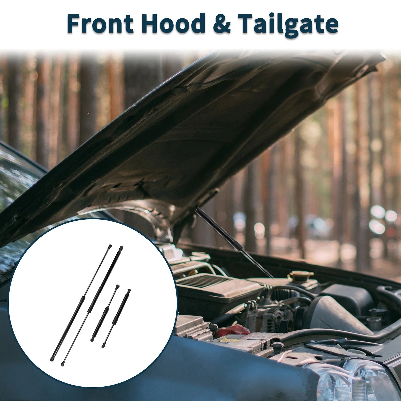 Front Hood and Tailgate Lift Supports Replacement for BMW Z4 (2003–2016)