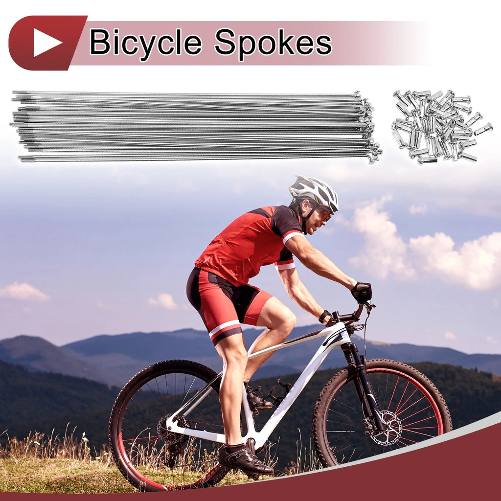 Bicycle Wheel Spokes Set Carbon Steel 245mm for 13G (Silver Tone)