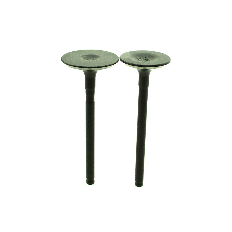 Z190 Engine Intake Exhaust Valves for Zongshen 190cc (ZS1P62YML-2)