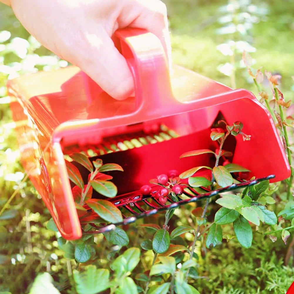Blueberry Picker Tool with Comfort Grip (22x14x7.5cm)