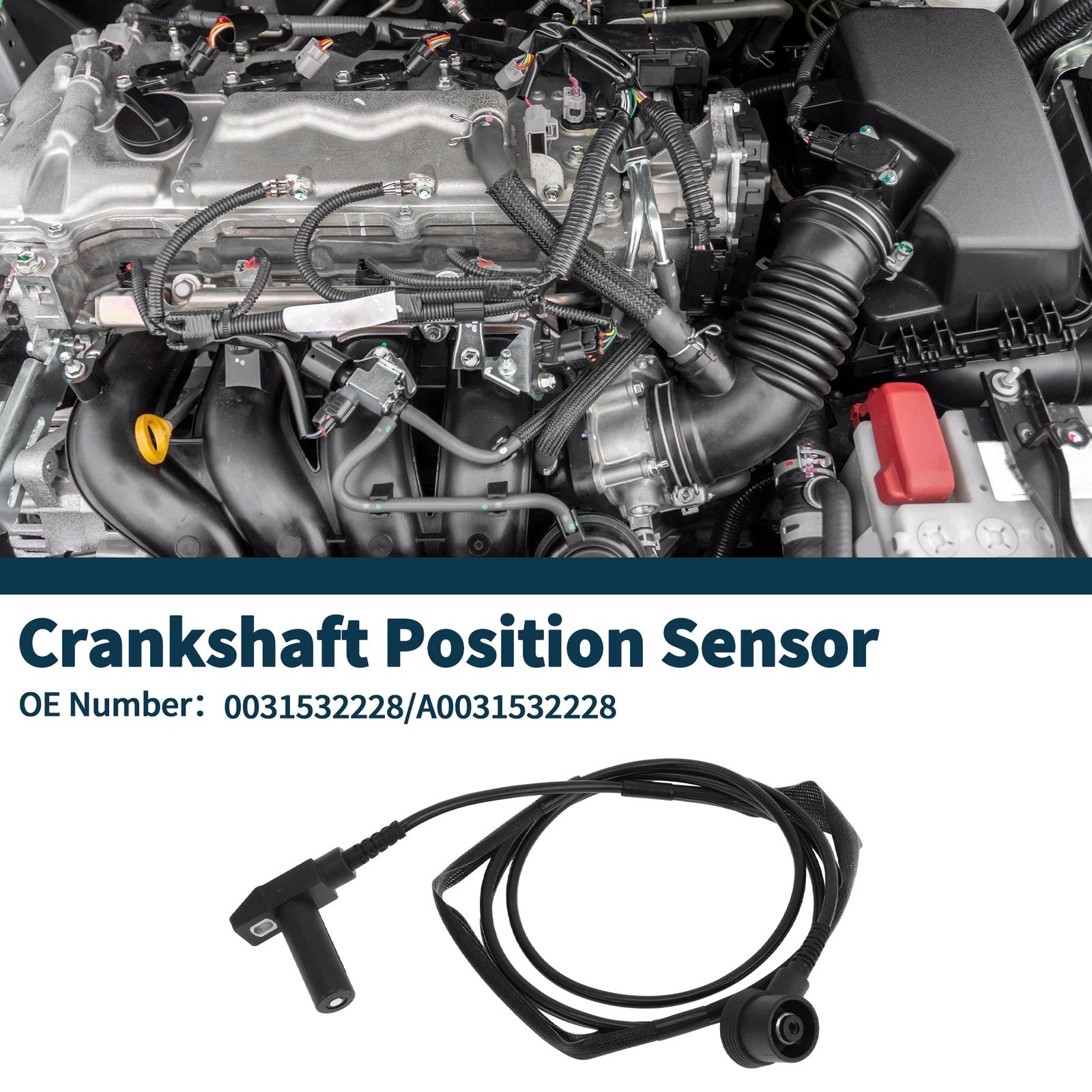 Crankshaft Position Sensor for Mercedes-Benz S600 6.0 (1993–1998)