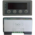 4-Digit Digital Display Meter for Analog Inputs (Adjustable Decimal)