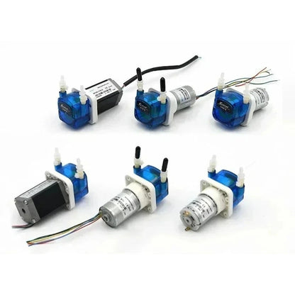 12V 24V Pump Brushed Motor for Various Systems