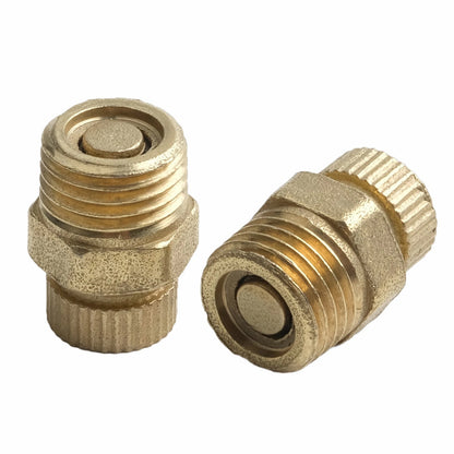 Set of 4 Brass Drain Screws for Small Air Pump