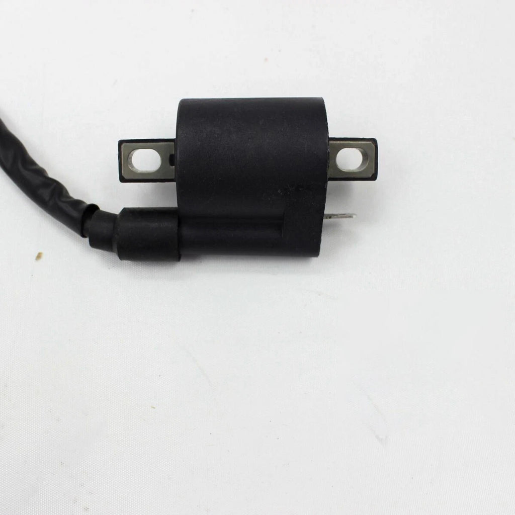 Ignition Coil for Chinese ATVs Go Karts UTVs Motorbikes (50cc–250cc)