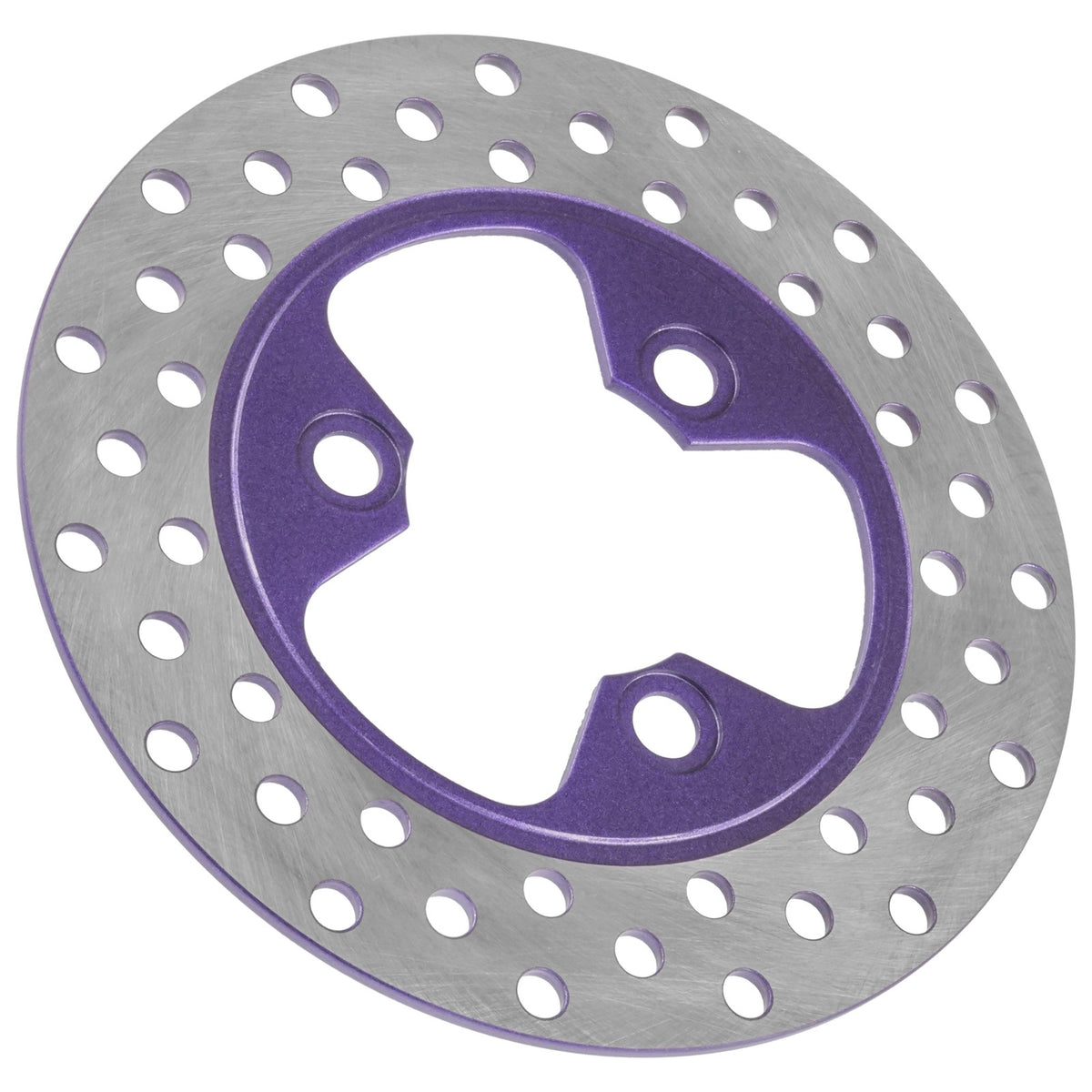 Front Left Brake Disc Rotor for Honda TRX250X Fourtrax 250 (1987–1992)