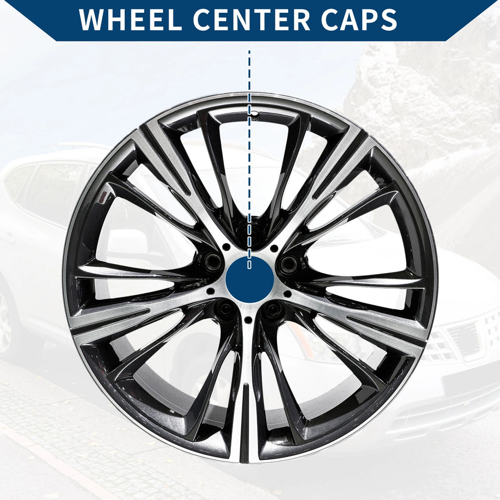 Wheel Center Cap for OD: 65mm Silver Tone
