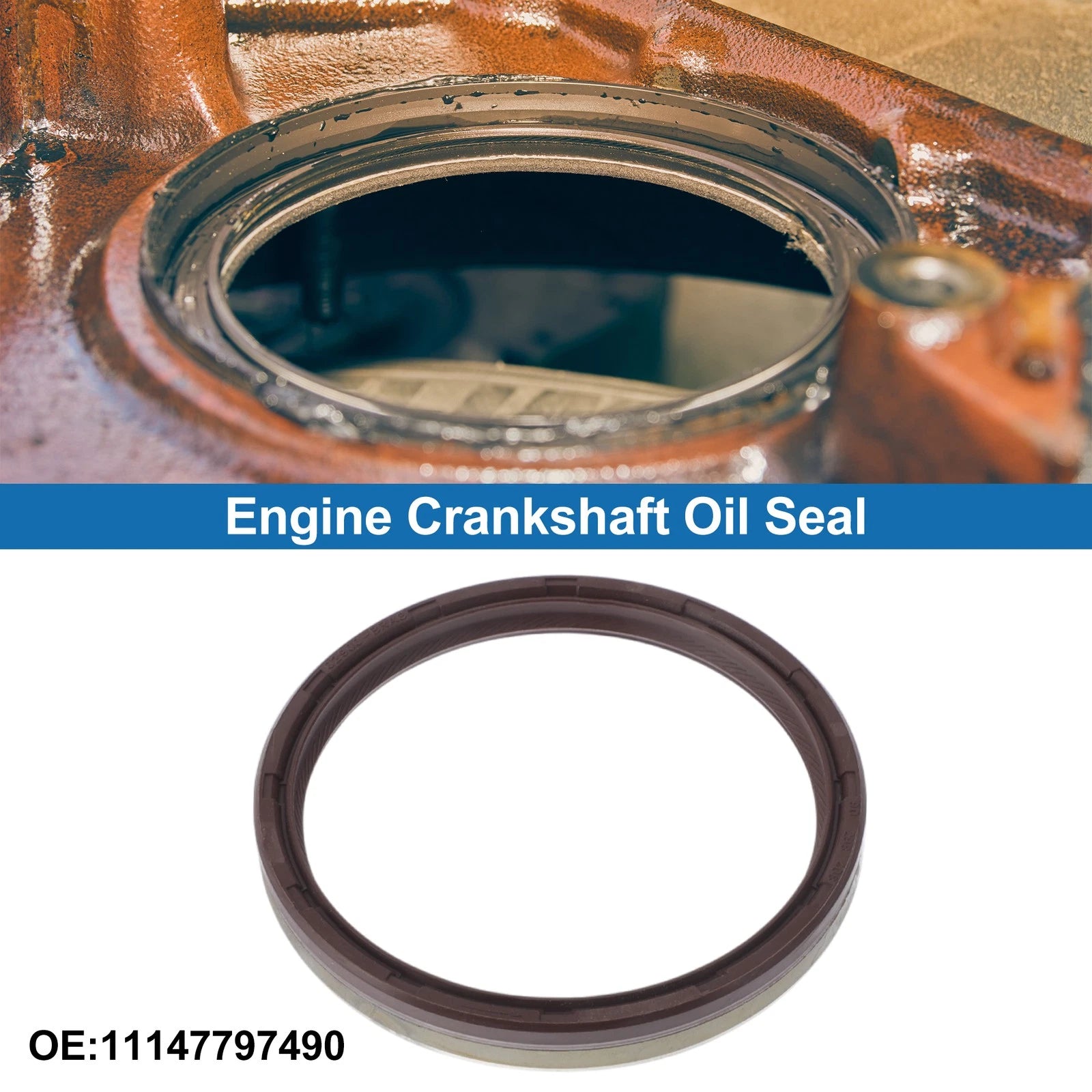 Rear Crankshaft Oil Seal Replacement for BMW 3 Series (2004–2019)