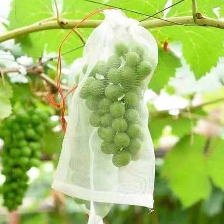 100PCS Non Woven Fruit Protection Net for Grape Pear