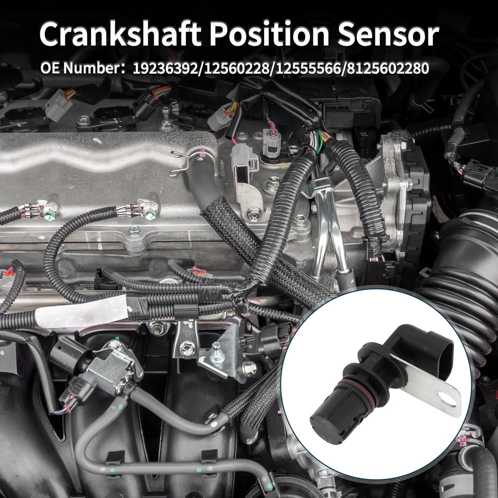 Crankshaft Position Sensor Replacement for Chevy Silverado 1500 4.8 5.3 (1999–2005)