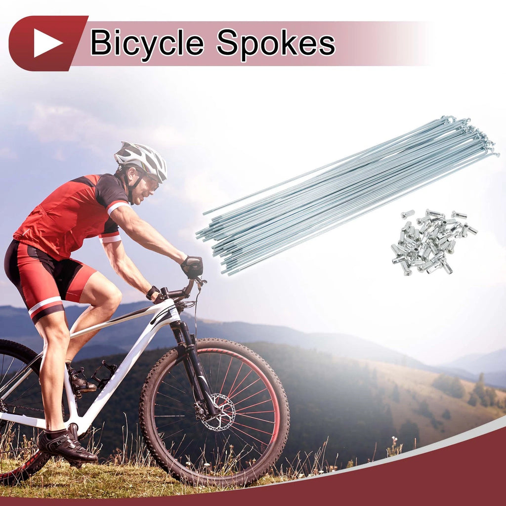 Bicycle Spokes 290mm Galvanized Set for 12G Wheel (All Makes)