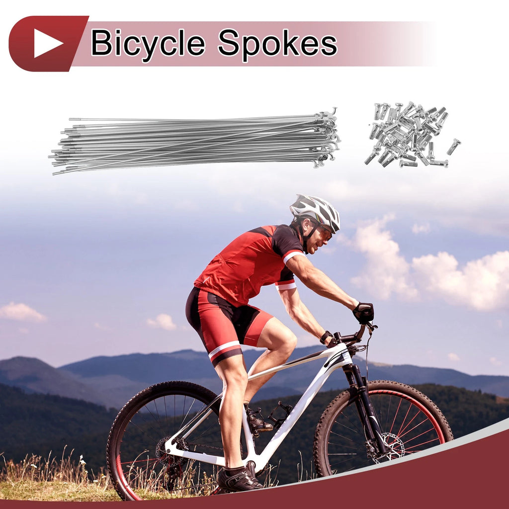 Bicycle Spoke Set 191 mm Steel Galvanized for 36 Set Spoke (191 mm)