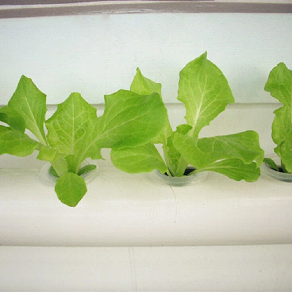 100PCS Hydroponics Sponge for Flowerpot Cultivation (30mm x 40mm)
