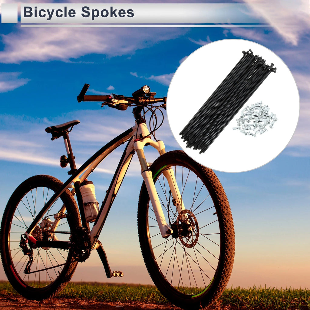 Bicycle Spokes Nipple Set 12G 165mm Carbon Steel for Universal Use (Universal)
