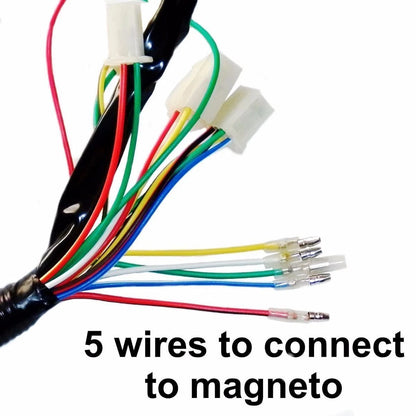 Wiring Loom CDI Solenoid for 50cc 70cc 110cc ATV Quad Buggy