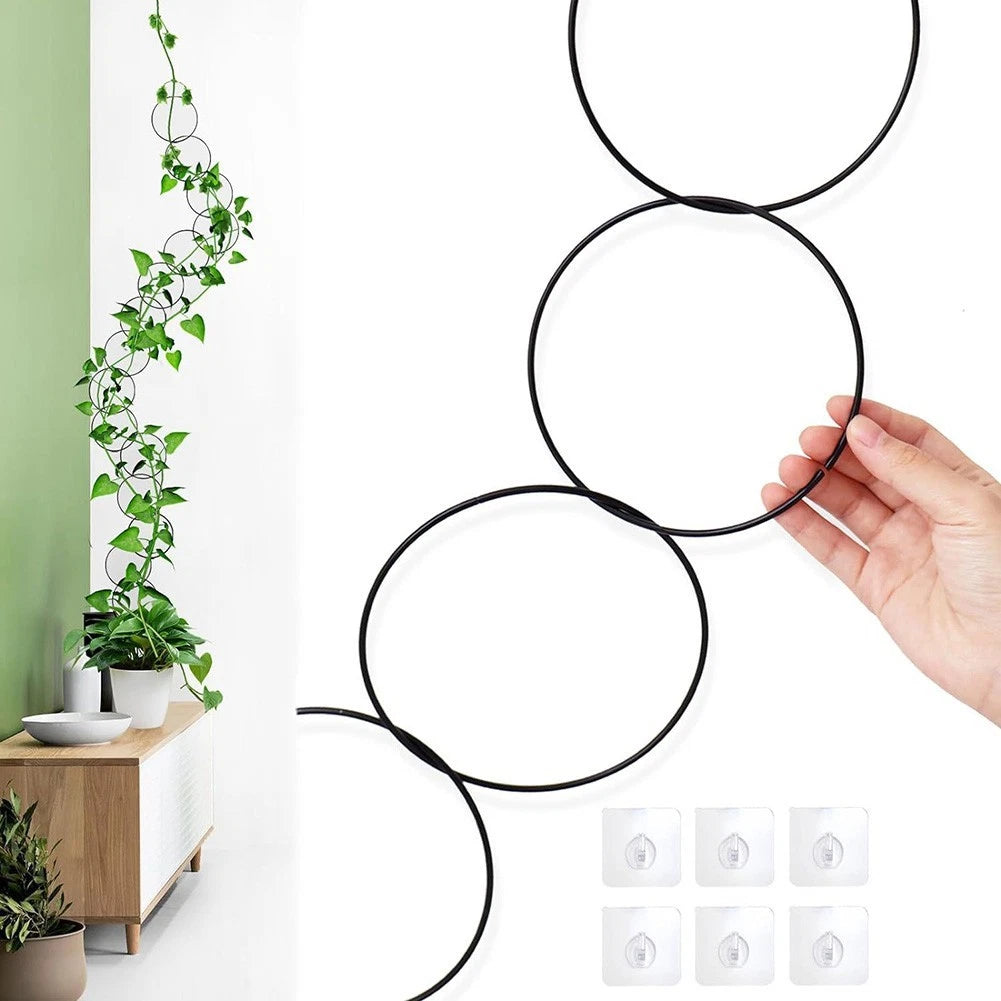 Climbing Plants Support Trellis for Modern Planting Solutions