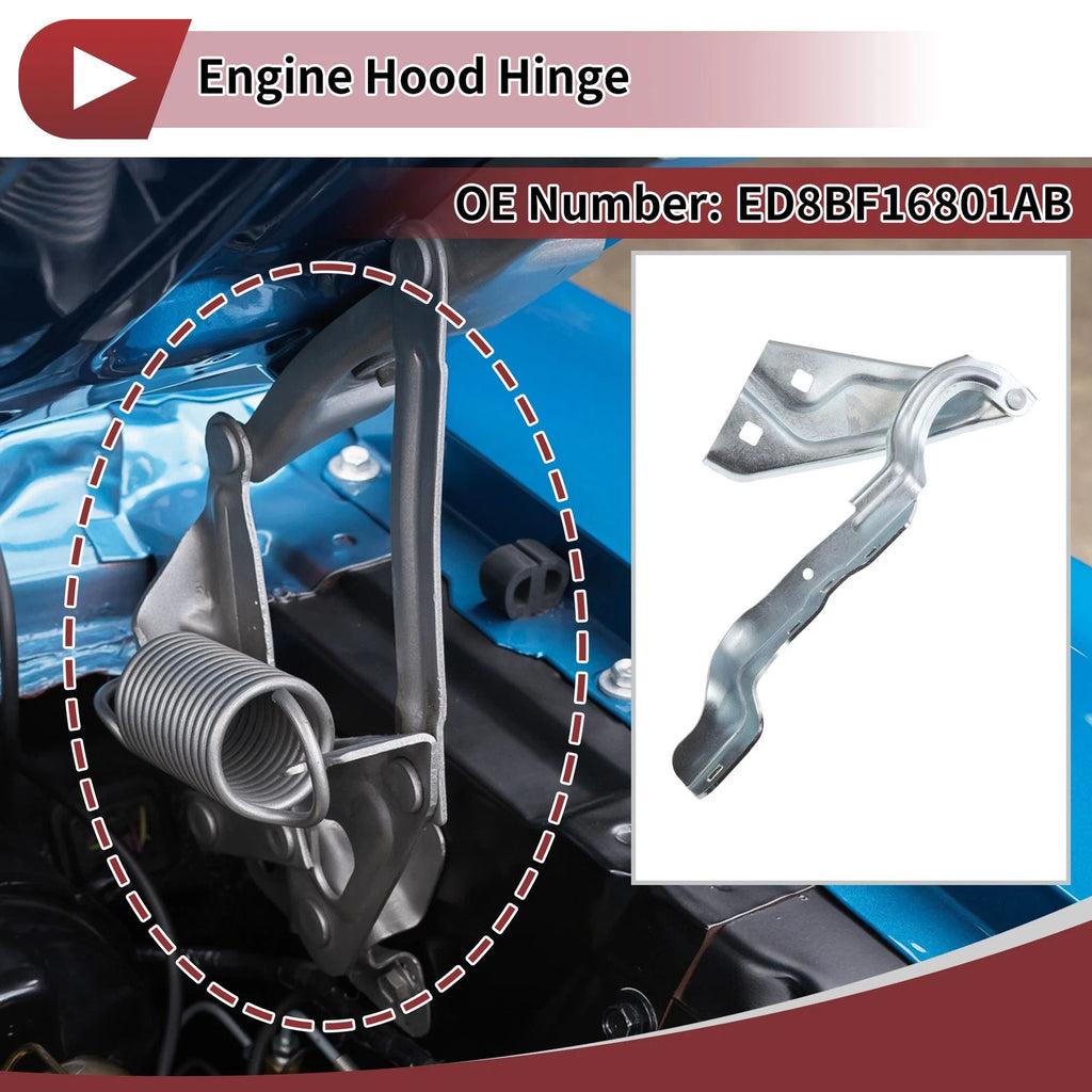 Hood Hinge for Ford Escape (2015–2018) Left Side, 1 pcs