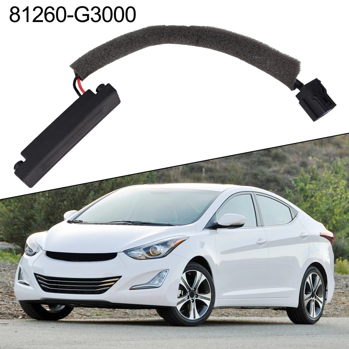 Tailgate Release Switch for