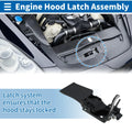 Hood Latch Assembly for Audi Q3 (2012–2015)