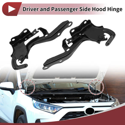 Hood Hinges for Lexus RX350 (2016–2022) 5341048150 1 Pair