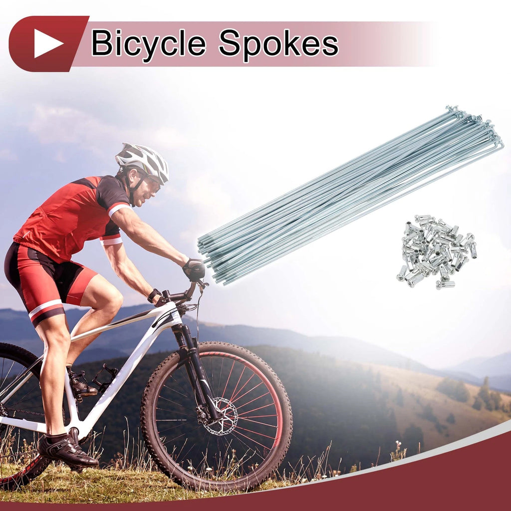 Bike Wheel Spokes Set Galvanized 280mm for 12G Bicycle (All Years)