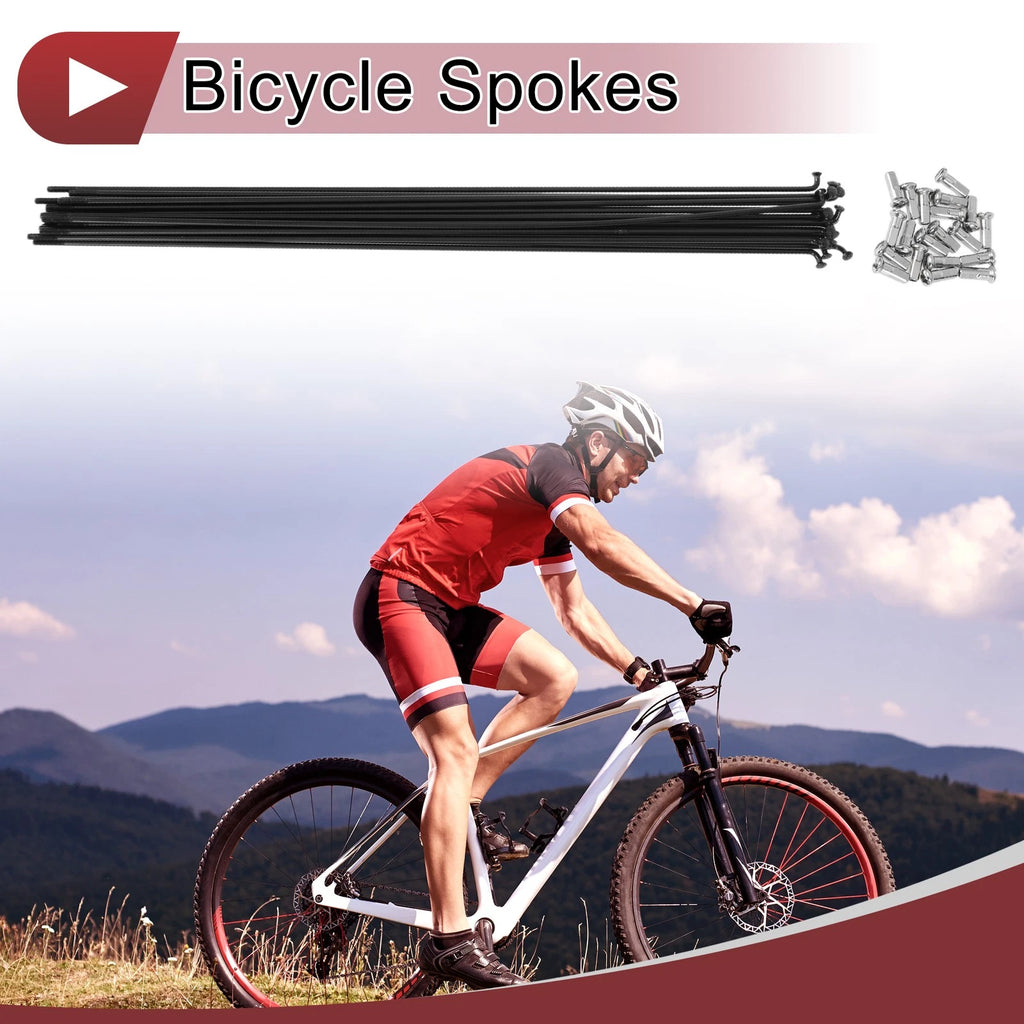 Bicycle Spokes 289mm Replacement Set for 13G Wheel (Black, Stainless)