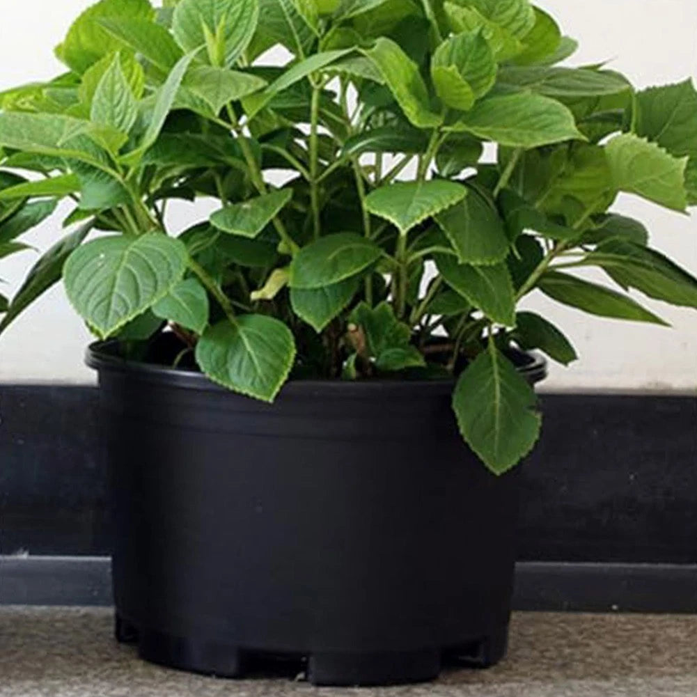 Large Round Plant Pot for Garden Decor (Efficient Drainage)
