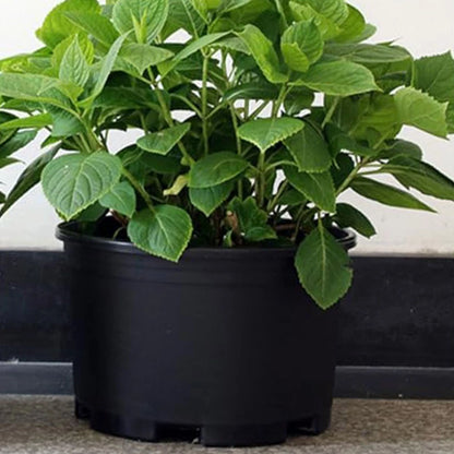 Large Round Plant Pot for Garden Decor (Efficient Drainage)