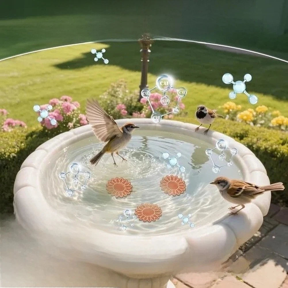 3 Piece Outdoor Bird Bath Cleaner Set for Water Pool Maintenance