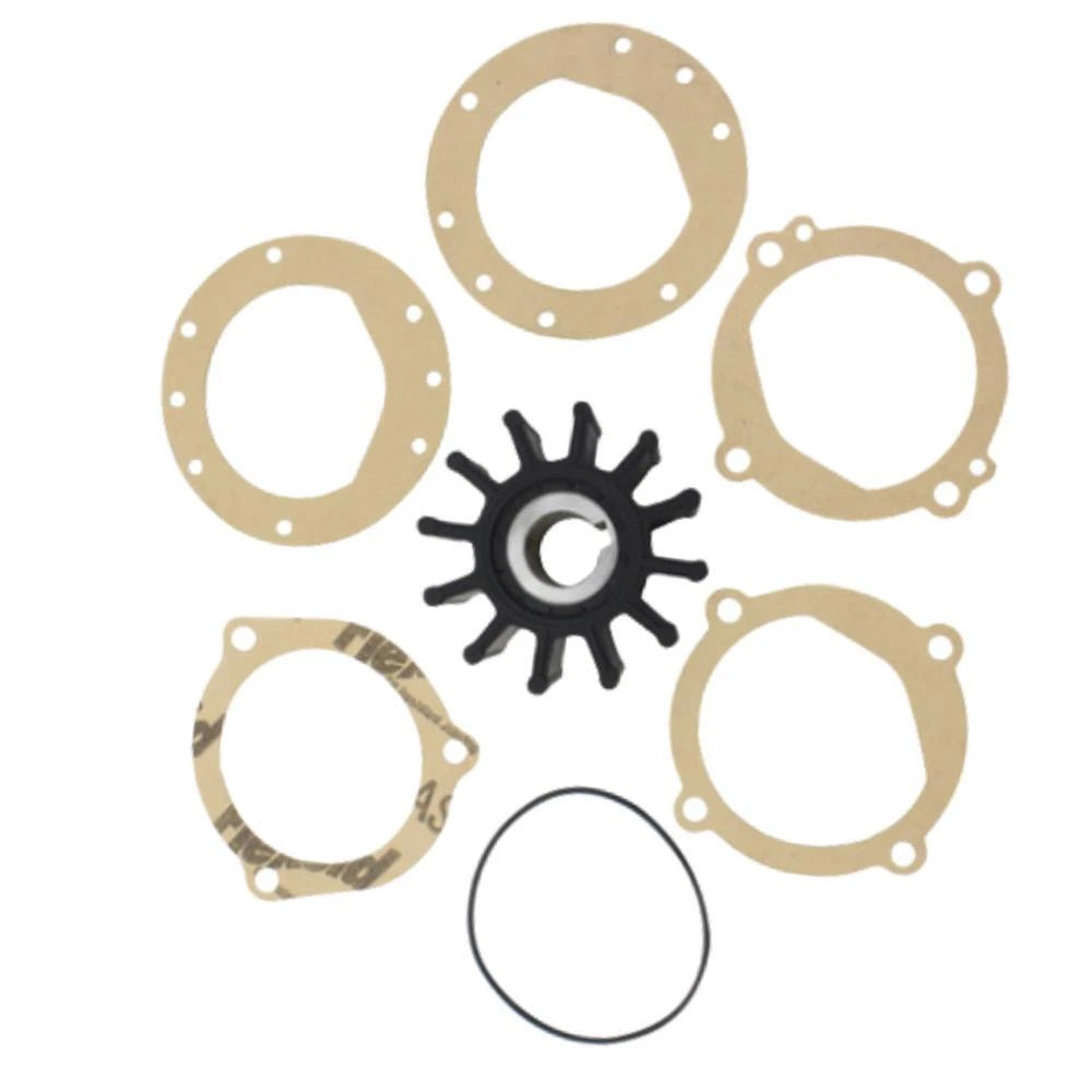 Flexible Impeller Water Pump for Pleasurecraft 302 351 Ford Marine (R061015)