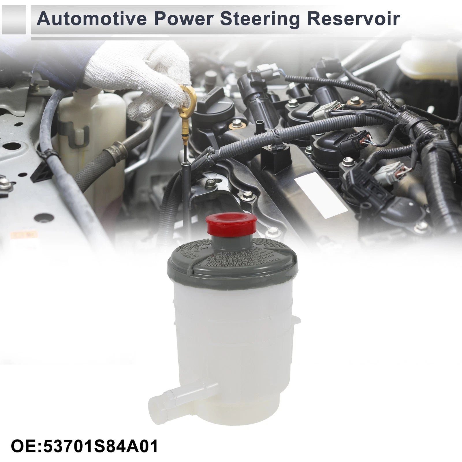 Power Steering Reservoir Replacement for Honda Accord 1998–2002