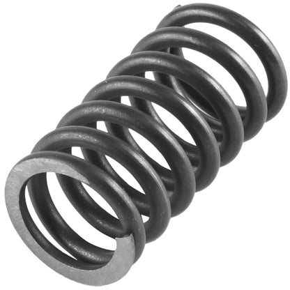 Clutch Spring Replacement for Honda TRX250TE FourTrax Recon (2002–2026)