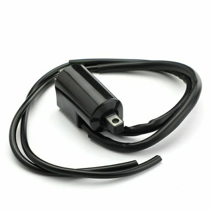 2X Ignition Coil for Suzuki GSF400 GSF600 GSF1200 (1991–2006)