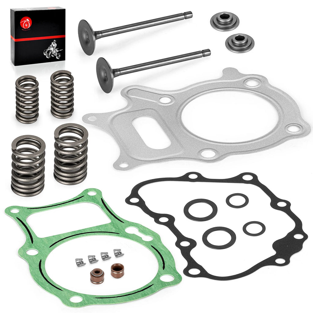 Intake Exhaust Valve Seal Spring Kit for Honda Recon 250 TRX250 (2002–2023)