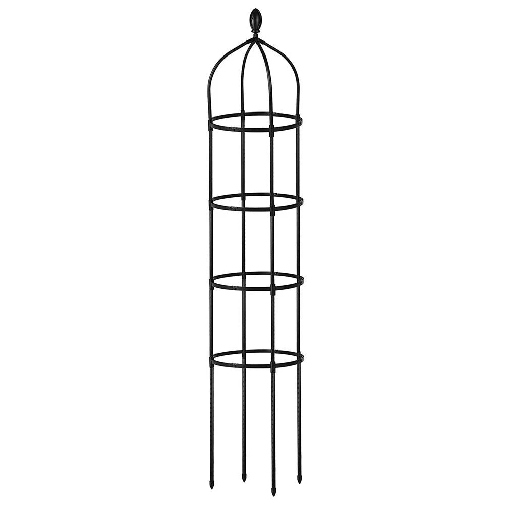 Round trellis for ivy and tomato plants