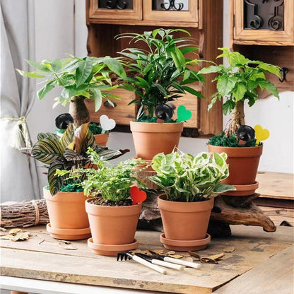 Automatic Watering Globes for Indoor Plants (Indoor Use)