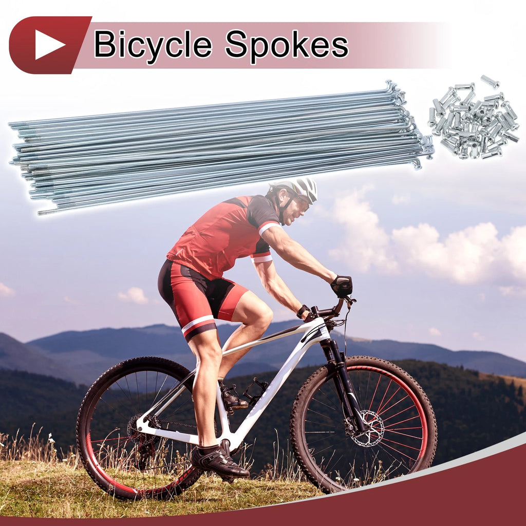 Bicycle Spokes Set 243mm Galvanized for 13G Wheels