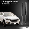 Front Hood Lift Supports Struts Replacement for Hyundai Entourage (2007–2017)