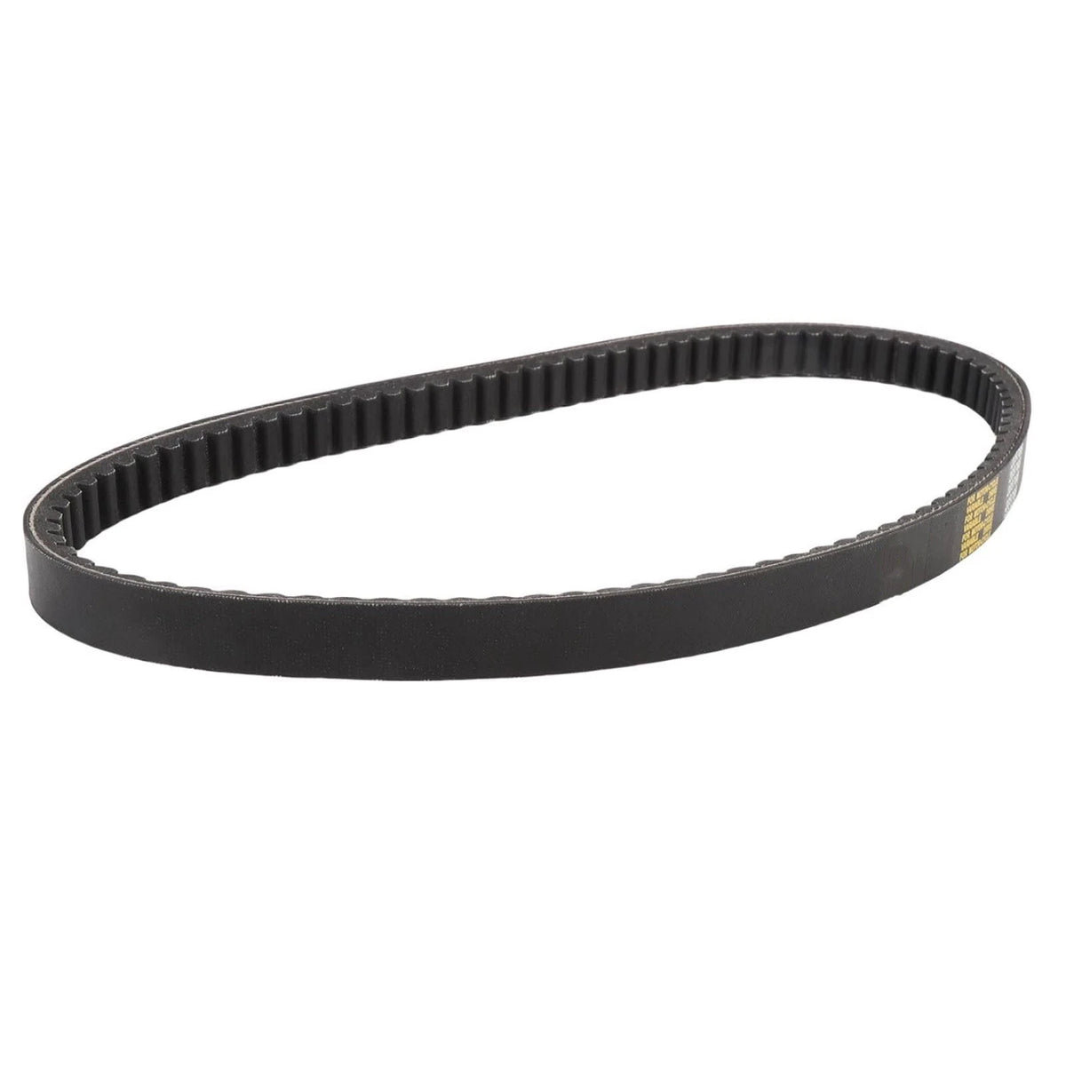 Torque Converter Drive Belt 203788 for Comet TAV2 40 44 Series