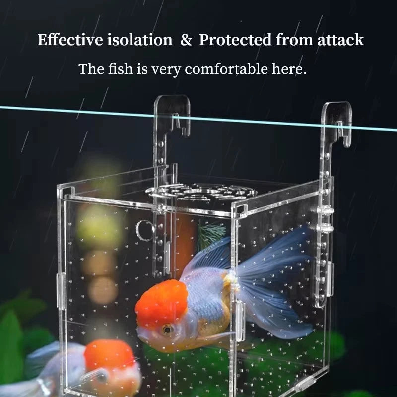 Acrylic Breeding Box for Aquarium Fry Protection and Spawning Control